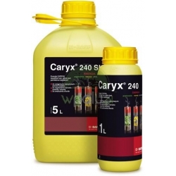 Caryx 240 SL
