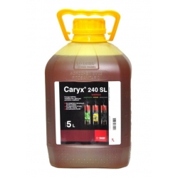 Caryx 240 SL