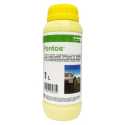 Pontos