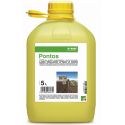 Pontos