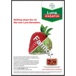 Luna Senation 500 SC