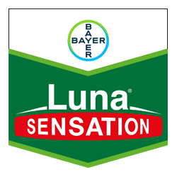 Luna Senation 500 SC