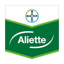 ALIETTE 80 WG – Fungizid von Bayer