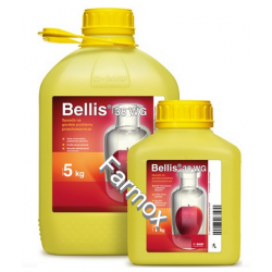 Bellis 38 WG, set