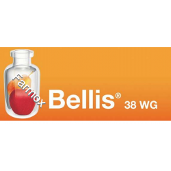 Bellis 38 WG, logo