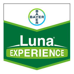 LUNA EXPERIENCE 400 SC – Fungizid von Bayer