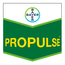 Propulse 250 SE