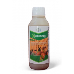 Serenade ASO