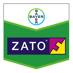 ZATO 50 WG / FLIRT