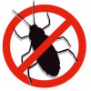 Insekten