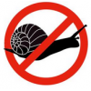 Schnecken