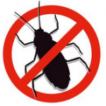 Insekten