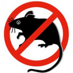 Ratten, Mäuse