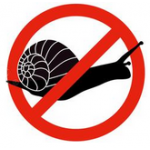 Schnecken