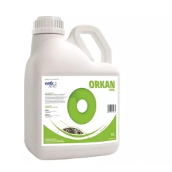 Orkan