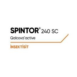 spintor 240sc, logo