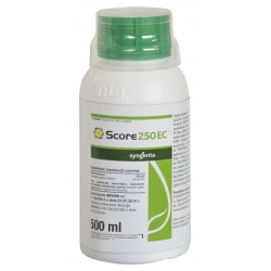 Score 250 EC